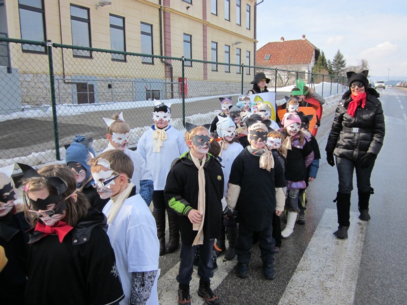 Pustni karneval v Mokronogu